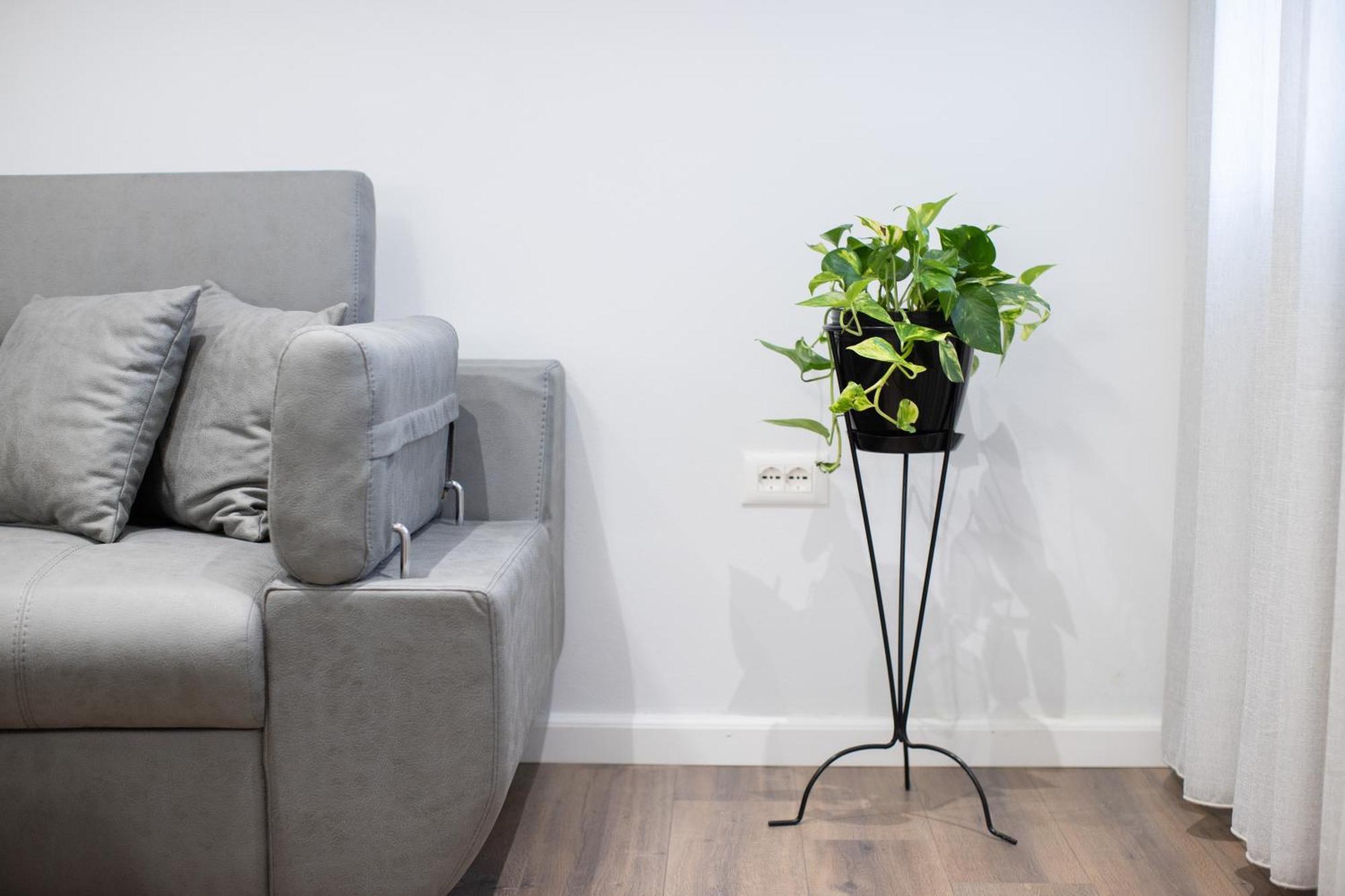Apartment Eka Luxury